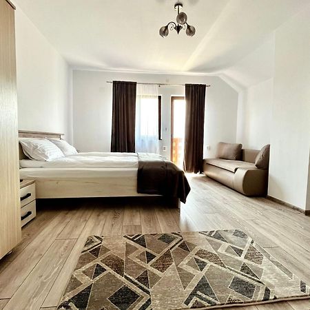 Vila Sofia Haţeg Extérieur photo