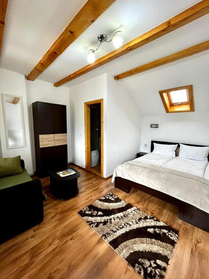 Vila Sofia Haţeg Extérieur photo