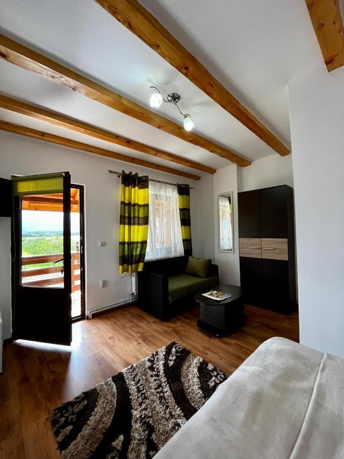 Vila Sofia Haţeg Extérieur photo