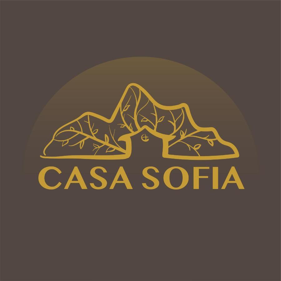 Vila Sofia Haţeg Extérieur photo