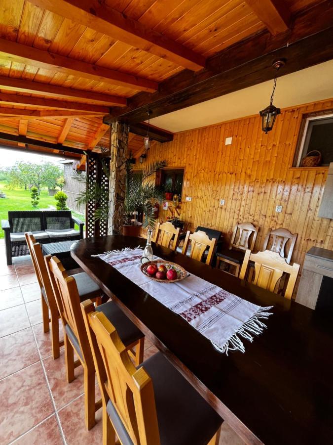 Vila Sofia Haţeg Extérieur photo