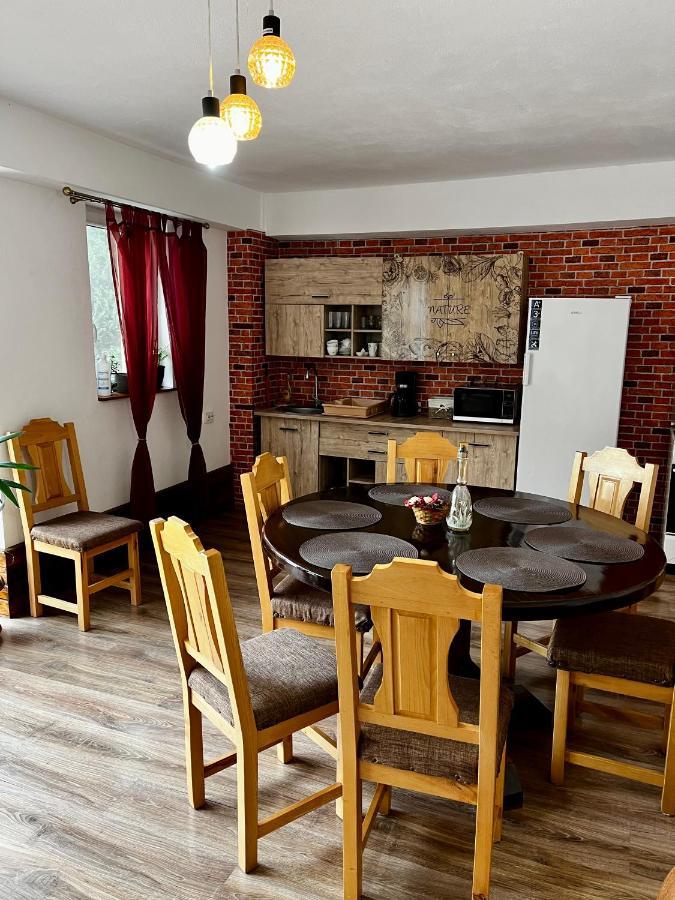 Vila Sofia Haţeg Extérieur photo