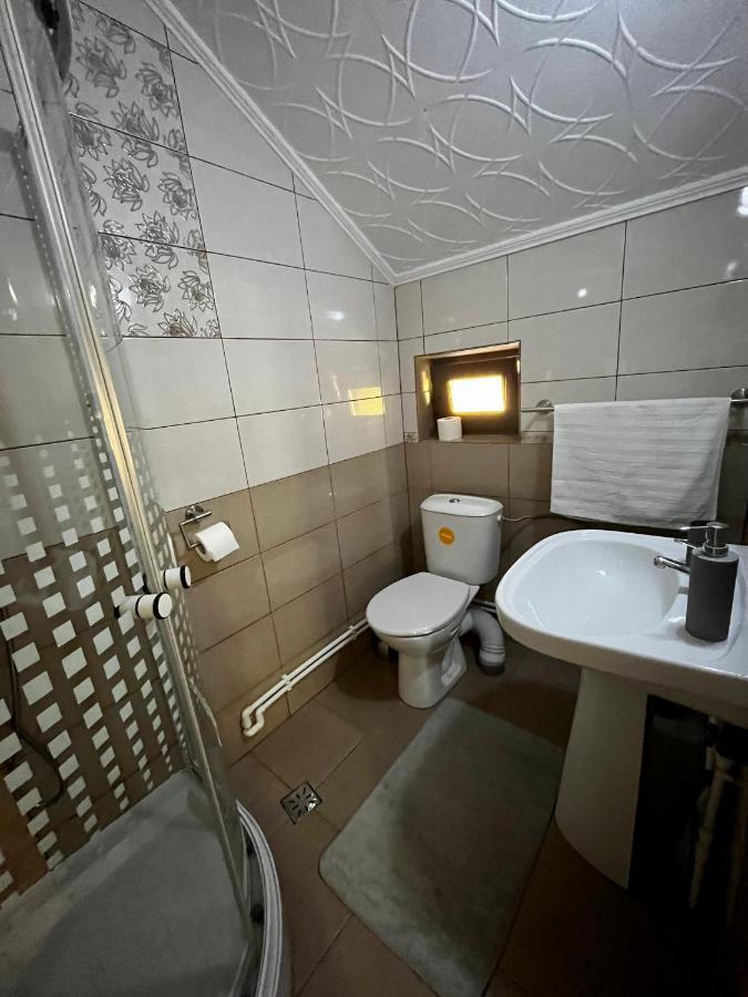 Vila Sofia Haţeg Extérieur photo