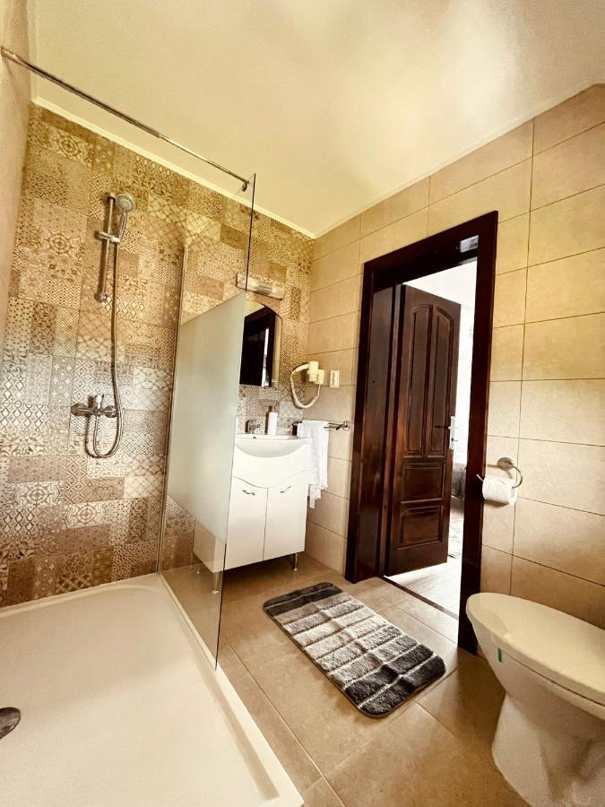 Vila Sofia Haţeg Extérieur photo
