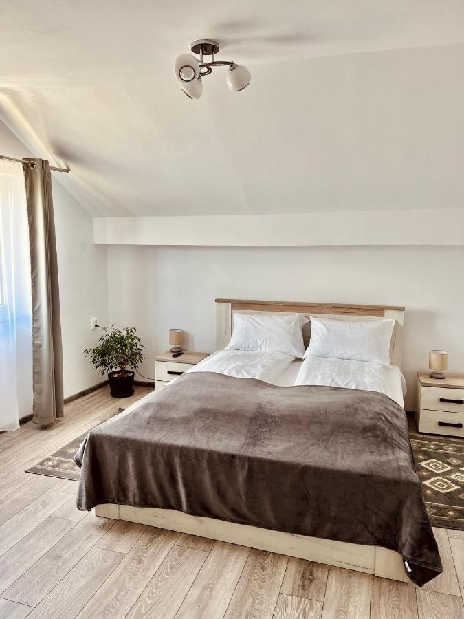 Vila Sofia Haţeg Extérieur photo