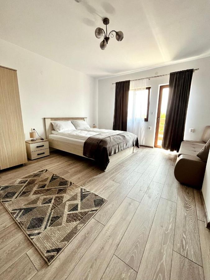 Vila Sofia Haţeg Extérieur photo