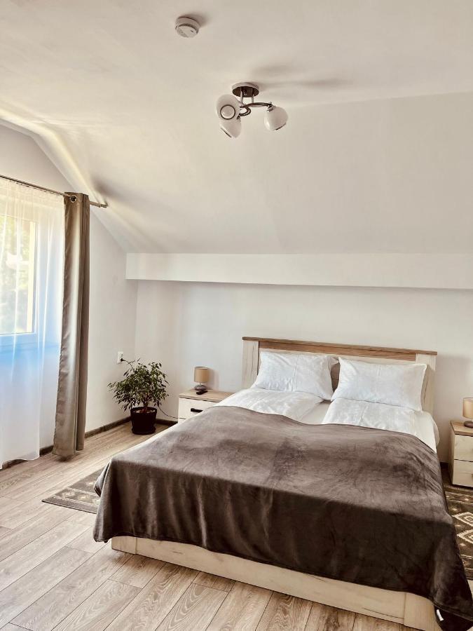 Vila Sofia Haţeg Extérieur photo