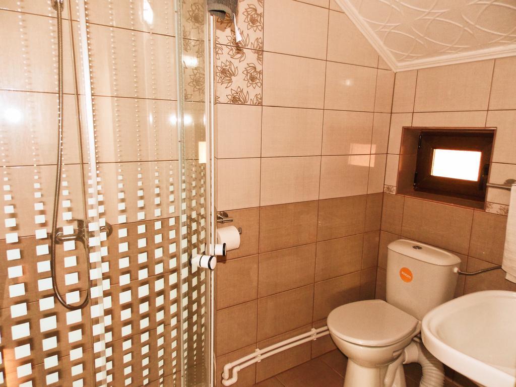 Vila Sofia Haţeg Extérieur photo